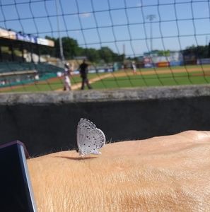 Meet your Posher, Deborah